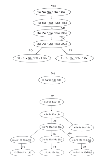 Fault-Tolerance Verification in a Distributed Collective ...