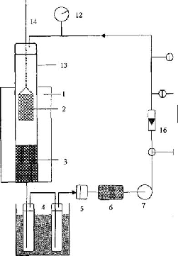 Modeling Of Pyrolisis Reactions Of Coconut Hulls, Wood Waste, And Straw ...