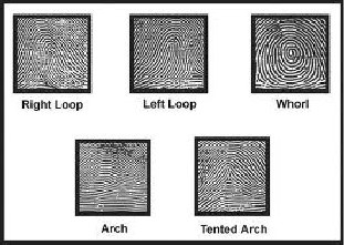 Noise Elimination And Performance Measure For Fingerprint Using Median 