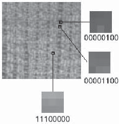 Rotation Invariant Static And Dynamic Texture Classification With Local ...