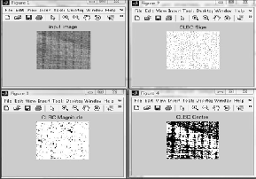 Rotation Invariant Static And Dynamic Texture Classification With Local ...