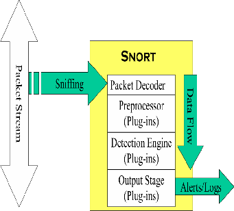 using snort for to detect crypto mining activity