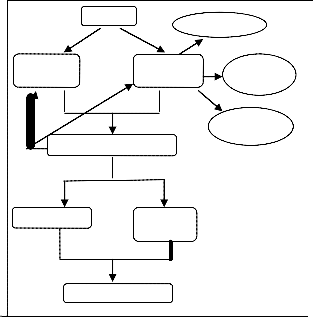 UID (Unique Identification Number) with DNA Technique